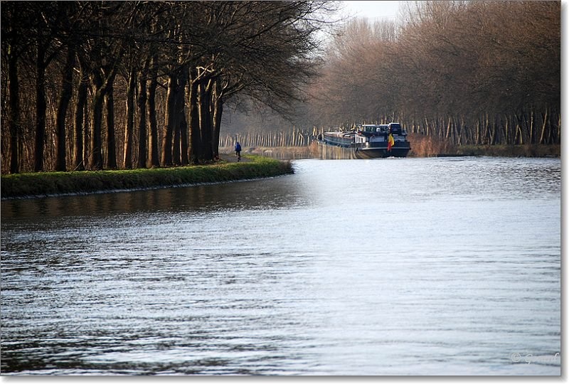 Kempisch kanaal in de winter.jpg - Kempisch kanaal in de winter